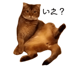 111749899