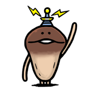 เห็ด Nameko รูปที่ 35