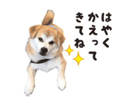 111853895