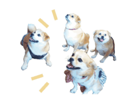 111853904