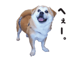 111853910