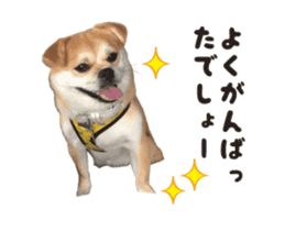 111853915