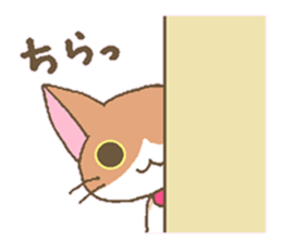11195618