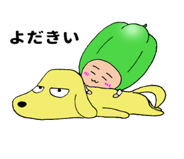 11203604