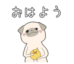 11206960