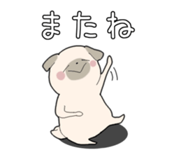 11206972