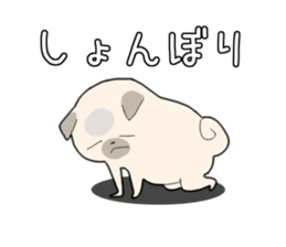11206985