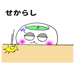 11207256