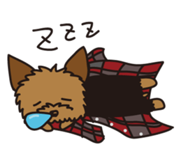 1120734