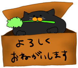 11213692
