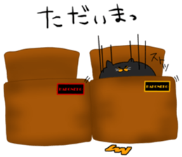 11213697