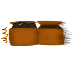 11213713