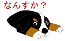 11224665