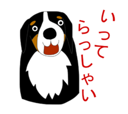 11224667