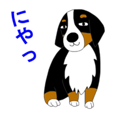11224673