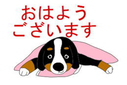 11224678