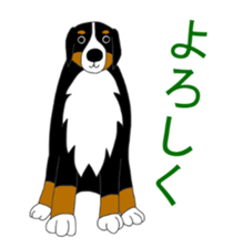 11224684