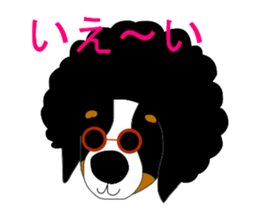 11224685