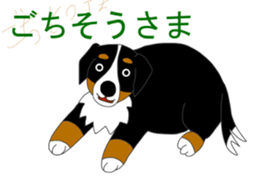 11224686
