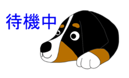 11224689