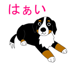 11224695