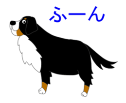 11224700