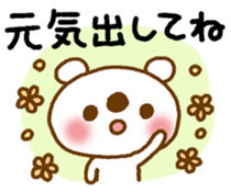 11224804