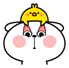 11233177