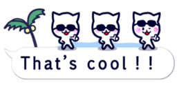 11244844