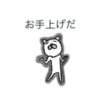 11255073