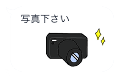 11255091