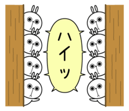11262073