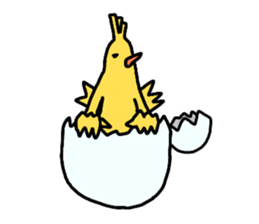 11266638