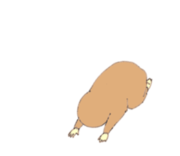 11268561