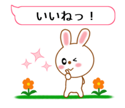 11301655