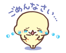 11307431