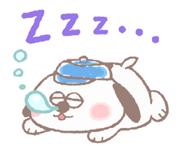 11307537