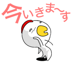 11311164