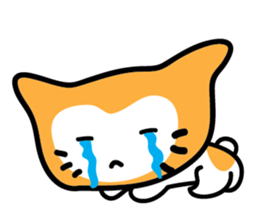 1131393