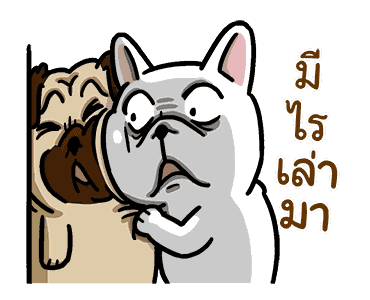ลายที่ 9