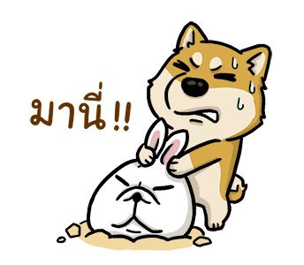 ลายที่ 12