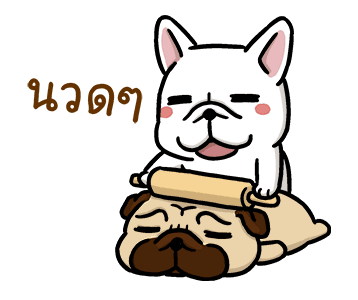 ลายที่ 20