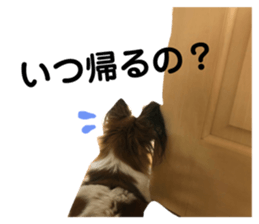 113300986