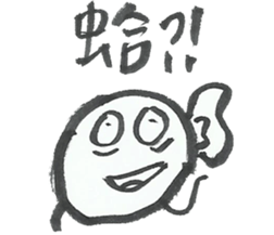 11331629