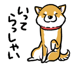11334191