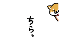 11334196