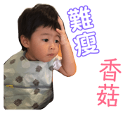 113342369