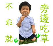 113342370
