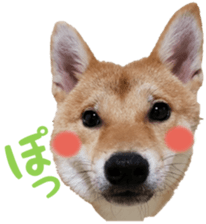113388783
