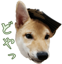 113388794